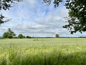 Views from Rear Garden- click for photo gallery
